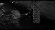Creature.from.the.Black.Lagoon.1954.BDREMUX.2160p.HDR.seleZen.mkv snapshot 00.48.00.377